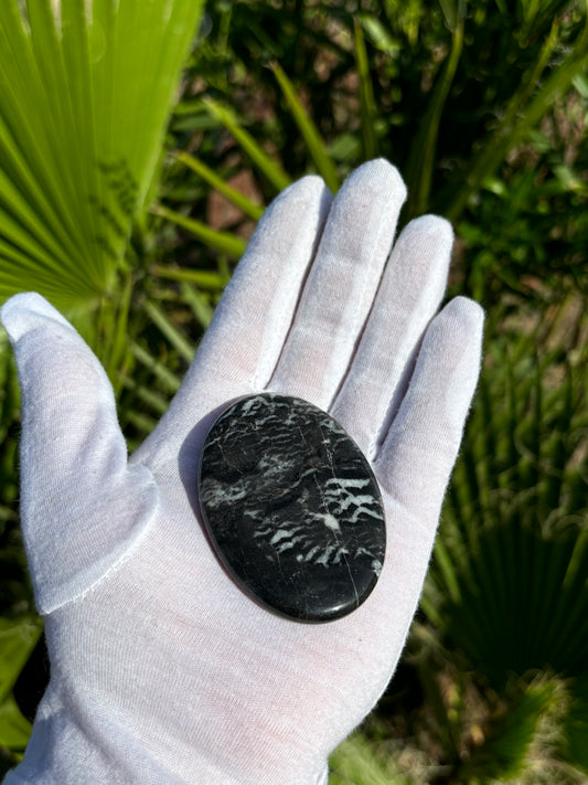 Black Tourmaline and White Quartz Palm Stone